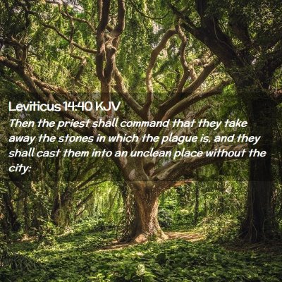 Picture 02 - Leviticus 14:40 KJV - Then the priest shall command that they take away - Bible Verse Picture