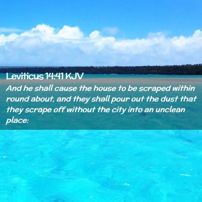 Picture 02 - Leviticus 14:41 KJV - And he shall cause the house to be scraped within - Bible Verse Picture