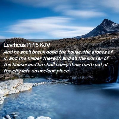 Picture 02 - Leviticus 14:45 KJV - And he shall break down the house, the stones of - Bible Verse Picture