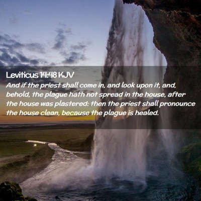 Picture 02 - Leviticus 14:48 KJV - And if the priest shall come in, and look upon - Bible Verse Picture