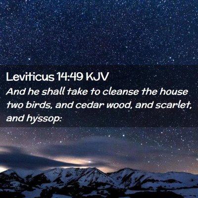 Picture 02 - Leviticus 14:49 KJV - And he shall take to cleanse the house two birds, - Bible Verse Picture