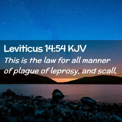 Picture 02 - Leviticus 14:54 KJV - This is the law for all manner of plague of - Bible Verse Picture