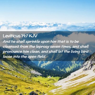 Picture 02 - Leviticus 14:7 KJV - And he shall sprinkle upon him that is to be - Bible Verse Picture