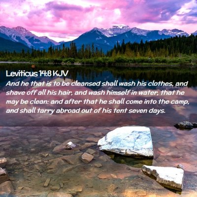 Picture 02 - Leviticus 14:8 KJV - And he that is to be cleansed shall wash his - Bible Verse Picture