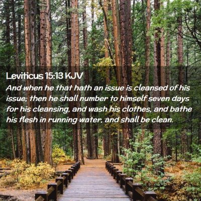 Picture 02 - Leviticus 15:13 KJV - And when he that hath an issue is cleansed of his - Bible Verse Picture