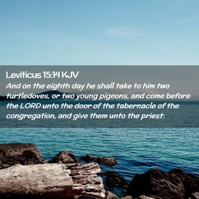 Picture 02 - Leviticus 15:14 KJV - And on the eighth day he shall take to him two - Bible Verse Picture