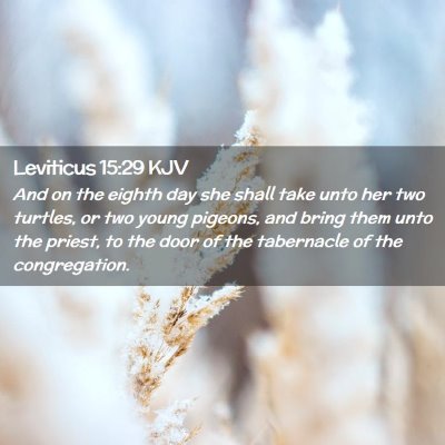 Picture 02 - Leviticus 15:29 KJV - And on the eighth day she shall take unto her two - Bible Verse Picture