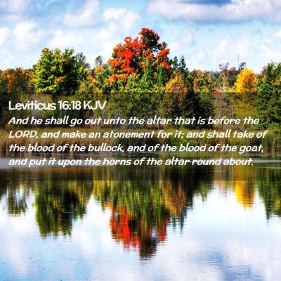 Picture 02 - Leviticus 16:18 KJV - And he shall go out unto the altar that is before - Bible Verse Picture