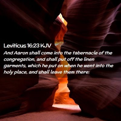 Picture 02 - Leviticus 16:23 KJV - And Aaron shall come into the tabernacle of the - Bible Verse Picture