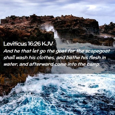 Picture 02 - Leviticus 16:26 KJV - And he that let go the goat for the scapegoat - Bible Verse Picture