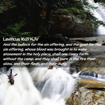 Picture 02 - Leviticus 16:27 KJV - And the bullock for the sin offering, and the - Bible Verse Picture