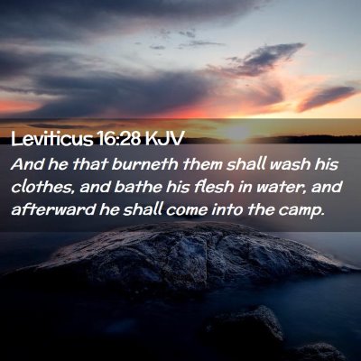 Picture 02 - Leviticus 16:28 KJV - And he that burneth them shall wash his clothes, - Bible Verse Picture