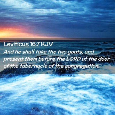 Picture 02 - Leviticus 16:7 KJV - And he shall take the two goats, and present them - Bible Verse Picture