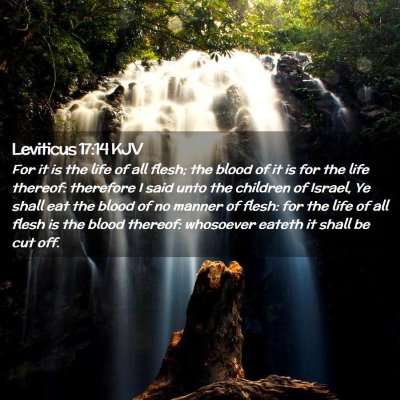 Picture 02 - Leviticus 17:14 KJV - For it is the life of all flesh; the blood of it - Bible Verse Picture