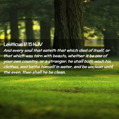 Picture 02 - Leviticus 17:15 KJV - And every soul that eateth that which died of - Bible Verse Picture
