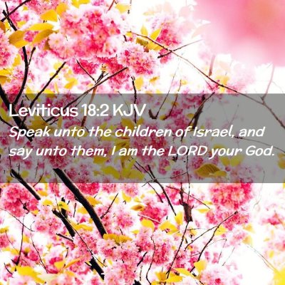 Picture 02 - Leviticus 18:2 KJV - Speak unto the children of Israel, and say unto - Bible Verse Picture