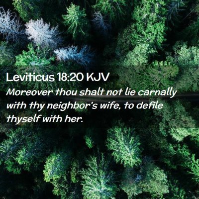 Picture 02 - Leviticus 18:20 KJV - Moreover thou shalt not lie carnally with thy - Bible Verse Picture