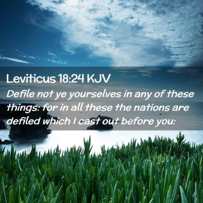 Picture 02 - Leviticus 18:24 KJV - Defile not ye yourselves in any of these things: - Bible Verse Picture
