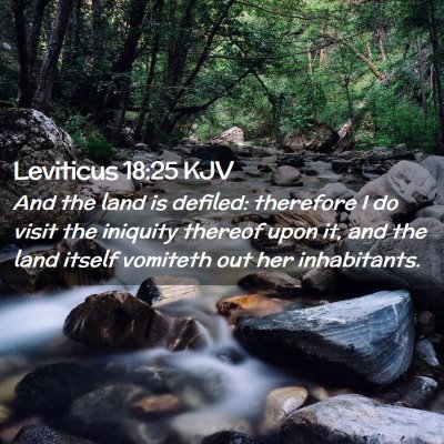 Picture 02 - Leviticus 18:25 KJV - And the land is defiled: therefore I do visit the - Bible Verse Picture