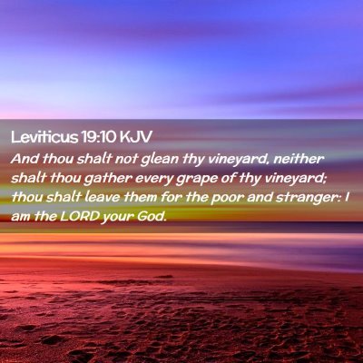 Picture 02 - Leviticus 19:10 KJV - And thou shalt not glean thy vineyard, neither - Bible Verse Picture