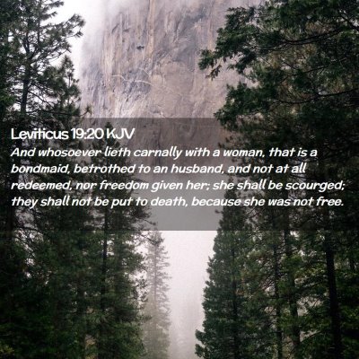 Picture 02 - Leviticus 19:20 KJV - And whosoever lieth carnally with a woman, that - Bible Verse Picture