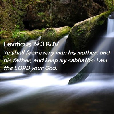 Picture 02 - Leviticus 19:3 KJV - Ye shall fear every man his mother, and his - Bible Verse Picture