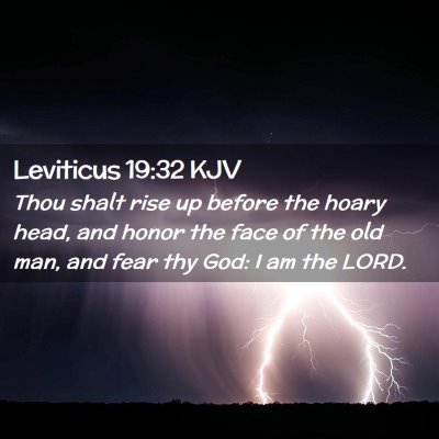 Picture 02 - Leviticus 19:32 KJV - Thou shalt rise up before the hoary head, and - Bible Verse Picture