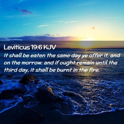 Picture 02 - Leviticus 19:6 KJV - It shall be eaten the same day ye offer it, and - Bible Verse Picture