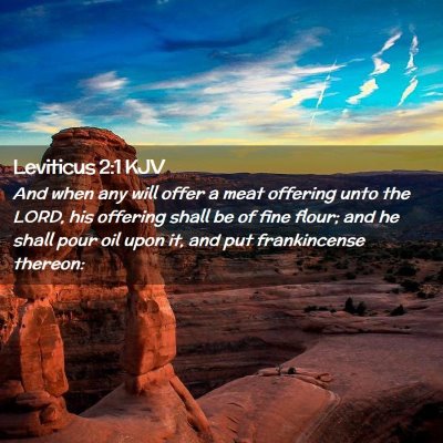 Picture 02 - Leviticus 2:1 KJV - And when any will offer a meat offering unto the - Bible Verse Picture
