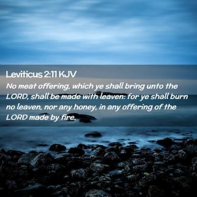 Picture 02 - Leviticus 2:11 KJV - No meat offering, which ye shall bring unto the - Bible Verse Picture