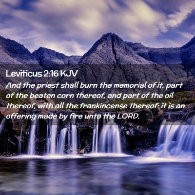 Picture 02 - Leviticus 2:16 KJV - And the priest shall burn the memorial of it, - Bible Verse Picture