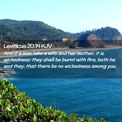 Picture 02 - Leviticus 20:14 KJV - And if a man take a wife and her mother, it is - Bible Verse Picture