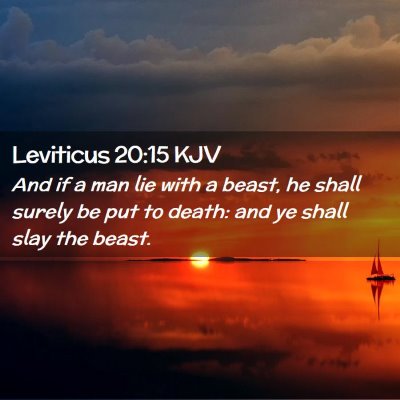 Picture 02 - Leviticus 20:15 KJV - And if a man lie with a beast, he shall surely be - Bible Verse Picture