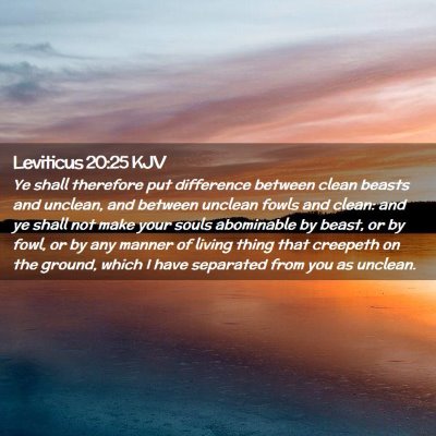 Picture 02 - Leviticus 20:25 KJV - Ye shall therefore put difference between clean - Bible Verse Picture