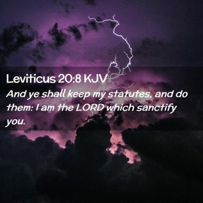 Picture 02 - Leviticus 20:8 KJV - And ye shall keep my statutes, and do them: I am - Bible Verse Picture