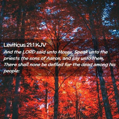 Picture 02 - Leviticus 21:1 KJV - And the LORD said unto Moses, Speak unto the - Bible Verse Picture