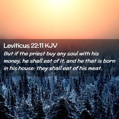 Picture 02 - Leviticus 22:11 KJV - But if the priest buy any soul with his money, he - Bible Verse Picture