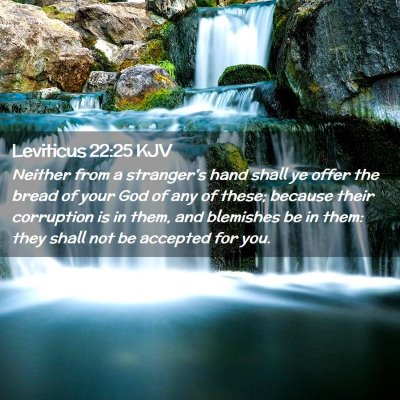Picture 02 - Leviticus 22:25 KJV - Neither from a stranger's hand shall ye offer the - Bible Verse Picture