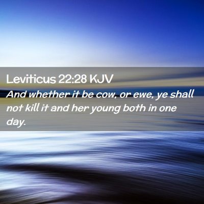Picture 02 - Leviticus 22:28 KJV - And whether it be cow, or ewe, ye shall not kill - Bible Verse Picture