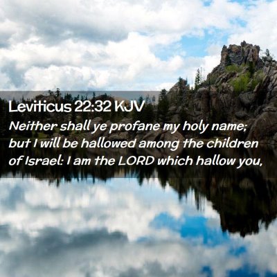 Picture 02 - Leviticus 22:32 KJV - Neither shall ye profane my holy name; but I will - Bible Verse Picture