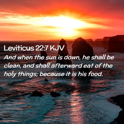 Picture 02 - Leviticus 22:7 KJV - And when the sun is down, he shall be clean, and - Bible Verse Picture