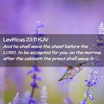 Picture 02 - Leviticus 23:11 KJV - And he shall wave the sheaf before the LORD, to - Bible Verse Picture