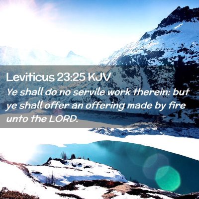 Picture 02 - Leviticus 23:25 KJV - Ye shall do no servile work therein: but ye shall - Bible Verse Picture