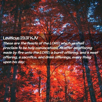 Picture 02 - Leviticus 23:37 KJV - These are the feasts of the LORD, which ye shall - Bible Verse Picture