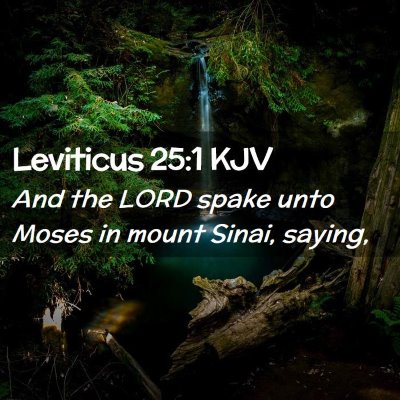 Picture 02 - Leviticus 25:1 KJV - And the LORD spake unto Moses in mount Sinai, - Bible Verse Picture