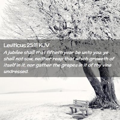 Picture 02 - Leviticus 25:11 KJV - A jubilee shall that fiftieth year be unto you: - Bible Verse Picture