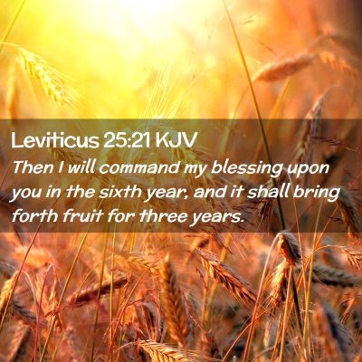 Picture 02 - Leviticus 25:21 KJV - Then I will command my blessing upon you in the - Bible Verse Picture