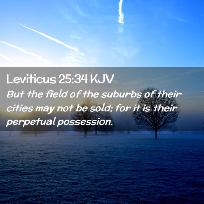 Picture 02 - Leviticus 25:34 KJV - But the field of the suburbs of their cities may - Bible Verse Picture