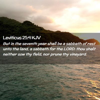Picture 02 - Leviticus 25:4 KJV - But in the seventh year shall be a sabbath of - Bible Verse Picture
