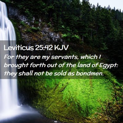 Picture 02 - Leviticus 25:42 KJV - For they are my servants, which I brought forth - Bible Verse Picture